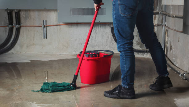 Best Fire Damage Restoration  in Desert Edge, CA