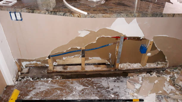 Best Mold removal after water damage  in Desert Edge, CA