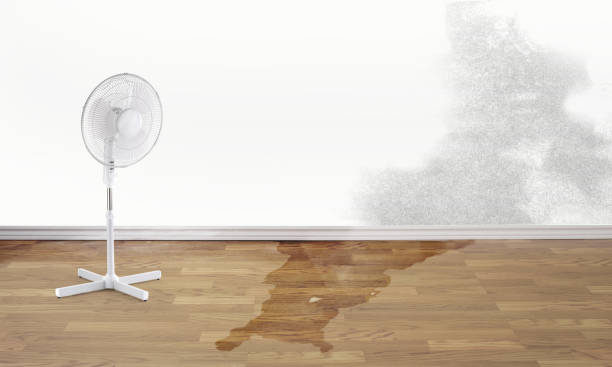 Best Water damage contractors near me  in Desert Edge, CA