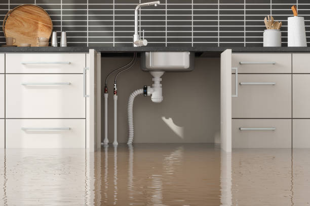 Best Carpet water damage restoration  in Desert Edge, CA