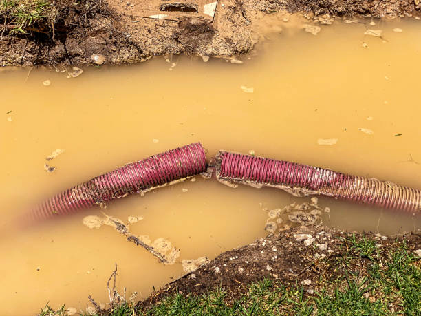 Best Flood restoration services  in Desert Edge, CA
